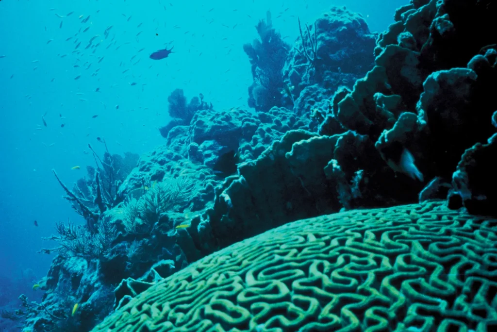 Raja Ampat Permits, Park Fees and Rules