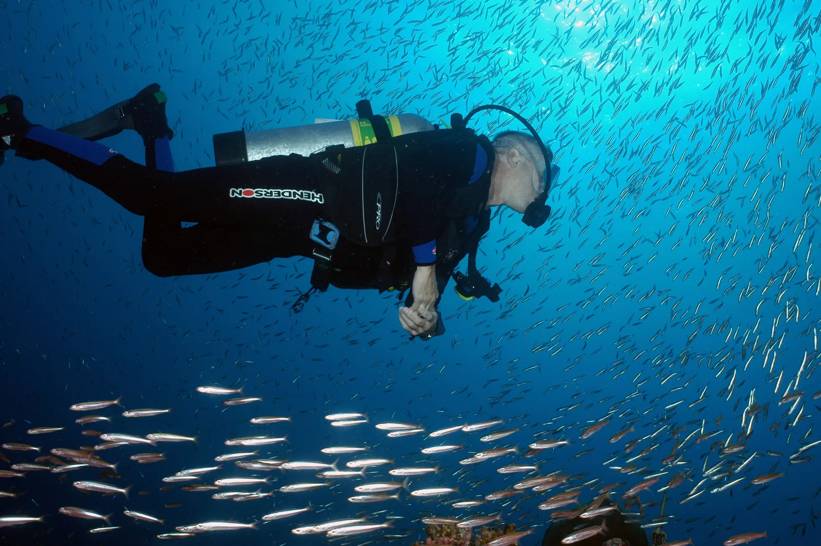 Scuba diver on a coral reef — FGBNMS - diver and fish