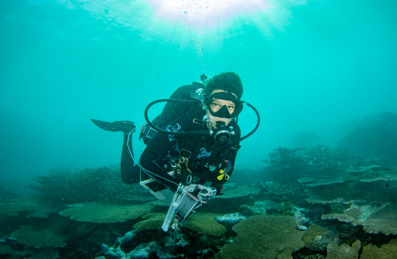 Scuba diver on a coral reef — NOAA diver over reef north coast Tutuila 2023