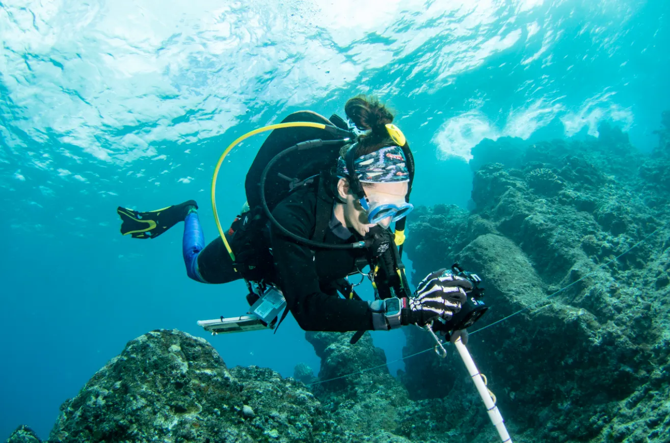 Scuba diver on a coral reef — NOAA diver photographing reef Tutuila 2023