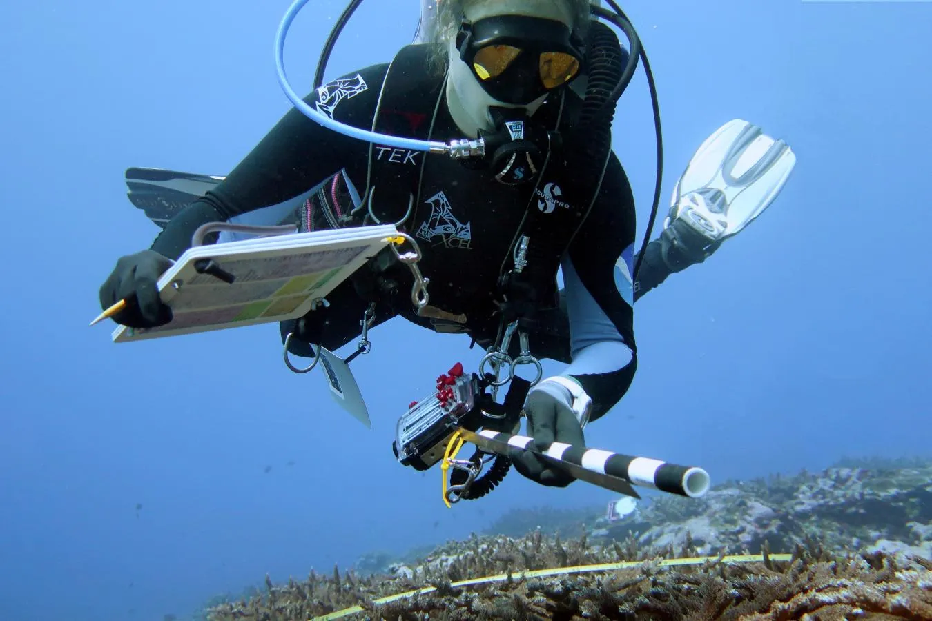 Scuba diver on a coral reef — NOAA diver American Samoa 2023