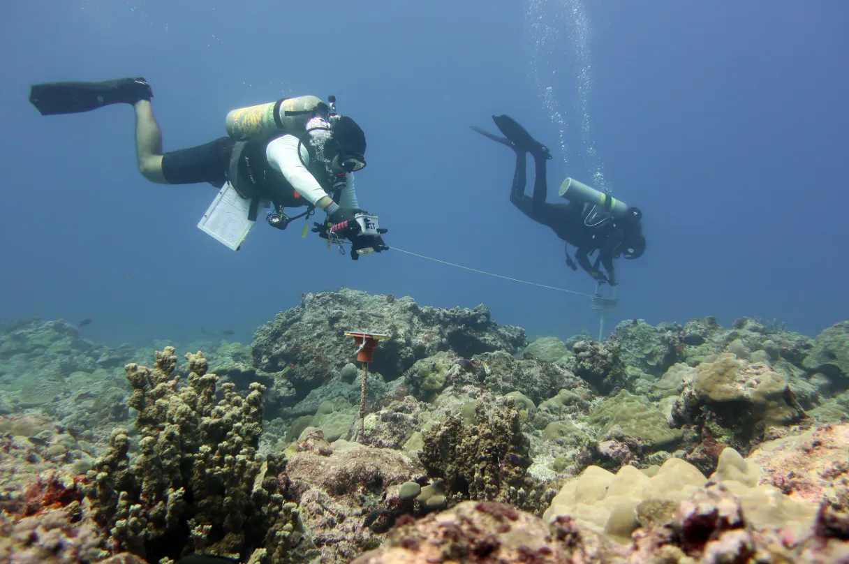 Scuba diver on a coral reef — NOAA divers Structure-from-Motion (SfM) survey Guam 2022