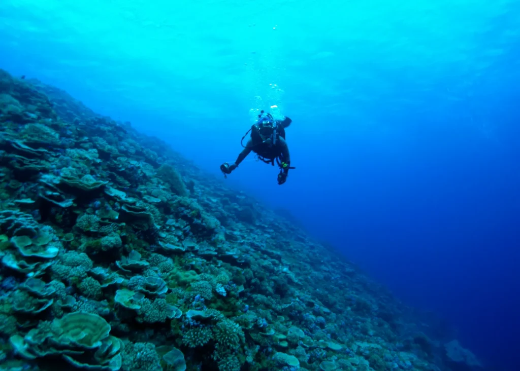Raja Ampat Snorkeling and Non-Diver Options