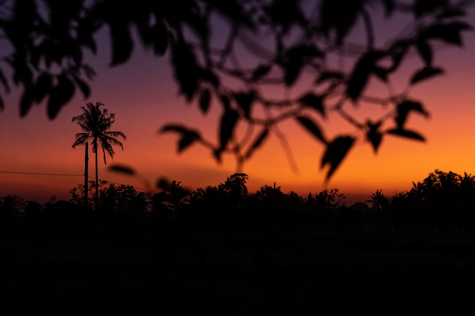 Tropical island seascape — Silhouette of palm trees at tropical sunset on Bali island.